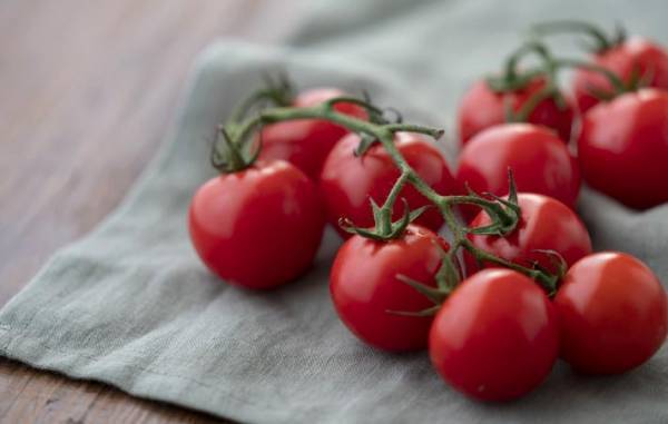 自分にとっての『本当のもの、本当のこと』を選択し、自分自身を生きていく