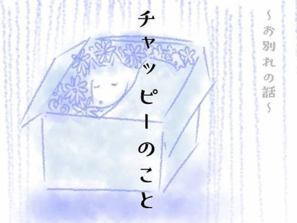 急に亡くなった愛犬　その朝、飼い主の少女が１人で食事をしていると？