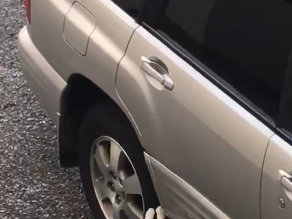 これは許す！　県外ナンバー狩りの犯行現場を目撃するも？