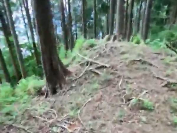 道があるかと思いきや…　山登り中の動画に、反響相次ぐ　「戻るって大事」