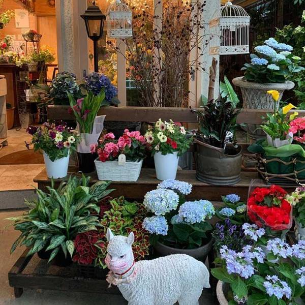 ２１時に店の外が騒がしい…　見ると、高齢女性が置物に向かって？