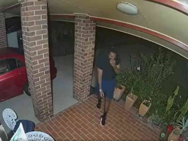 住宅に侵入した強盗を一瞬で撃退した犬　どんな獰猛な犬かと思ったら…？