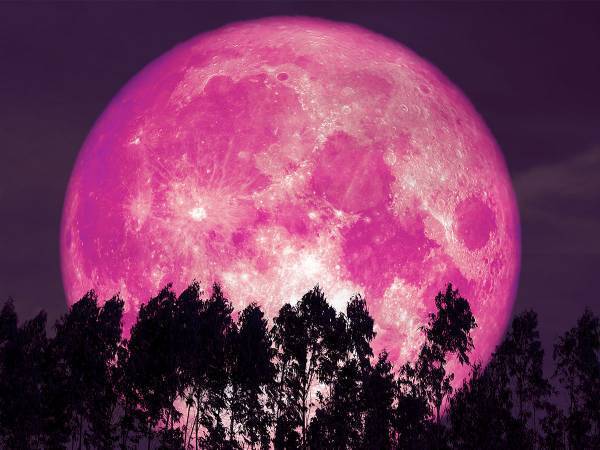 ついにやってきたストロベリームーン！　さらに２０２０年は…