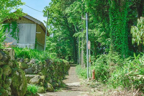 夏の写真に２３万いいねが寄せられる　子供の頃を思い出す写真とは【全４枚】