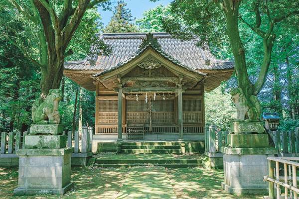 夏の写真に２３万いいねが寄せられる　子供の頃を思い出す写真とは【全４枚】