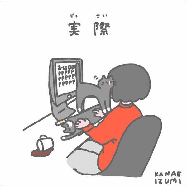 飼い主「あるある」　猫と暮らす『理想』と『現実』に共感が止まらない