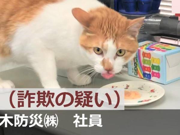 おやつを不正受給！　現行犯逮捕された猫、その後の展開に爆笑