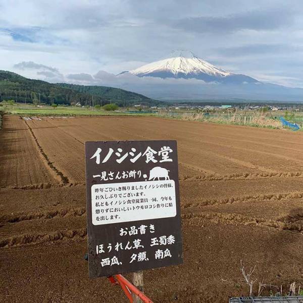 散歩の途中で発見した看板　『迷惑客向けの内容』に二度見必至