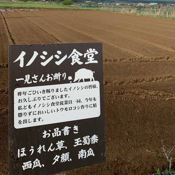 散歩の途中で発見した看板　『迷惑客向けの内容』に二度見必至