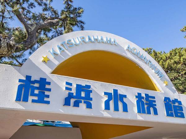 水族館の『エサやり寄付』が何かおかしい　「爆笑した」「発想の勝利」