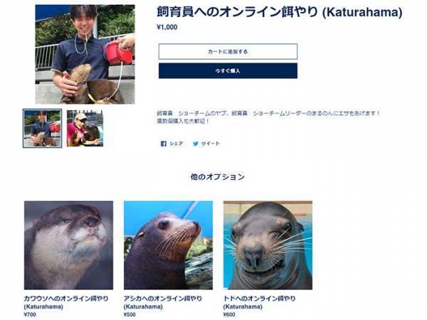 水族館の『エサやり寄付』が何かおかしい　「爆笑した」「発想の勝利」