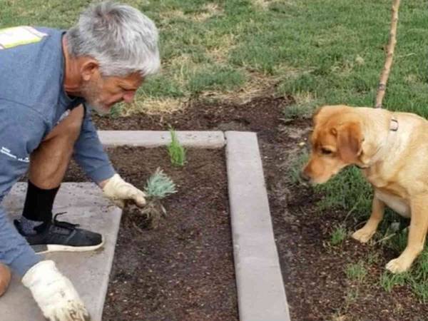 手を使わずに土を掘れる『ハンズフリーのシャベル』　その正体に絶賛の声