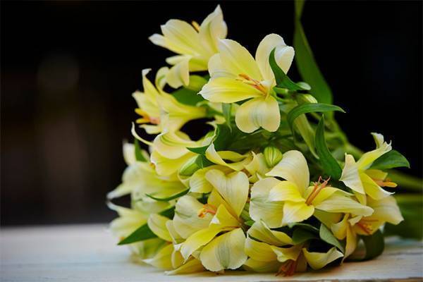 農林水産省が『父の日の贈り物』を提案　「なるほど」「コレは思いつかなかった」