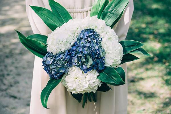 農林水産省が『父の日の贈り物』を提案　「なるほど」「コレは思いつかなかった」