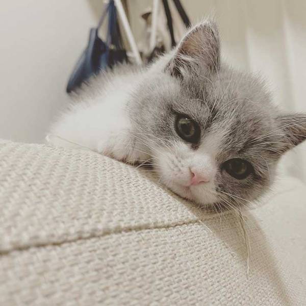 『鼻セレブ』の横にいたのは…？　撮影された光景に、３９万人が吹き出す！