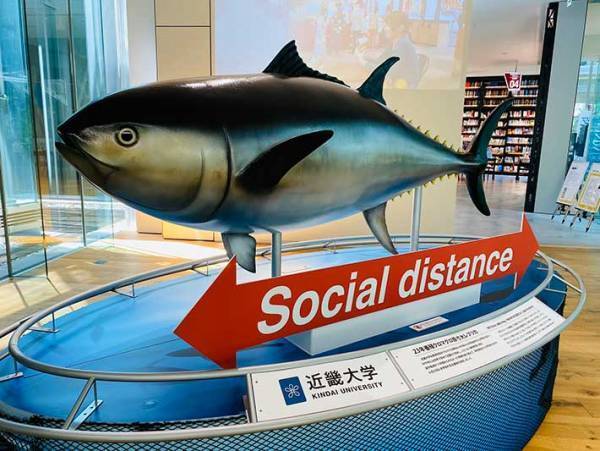 近畿大学の『感染予防対策』が、想像のナナメ上　「笑った」「さすがすぎる」