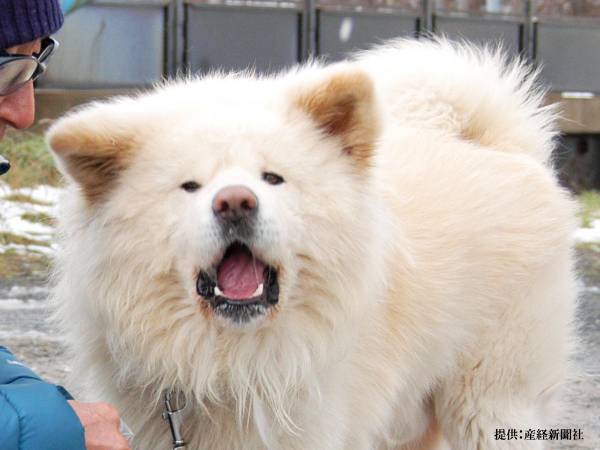 天国に旅立ったわさおへ、スタッフがメッセージ　「涙が出た」「なんて温かい言葉」