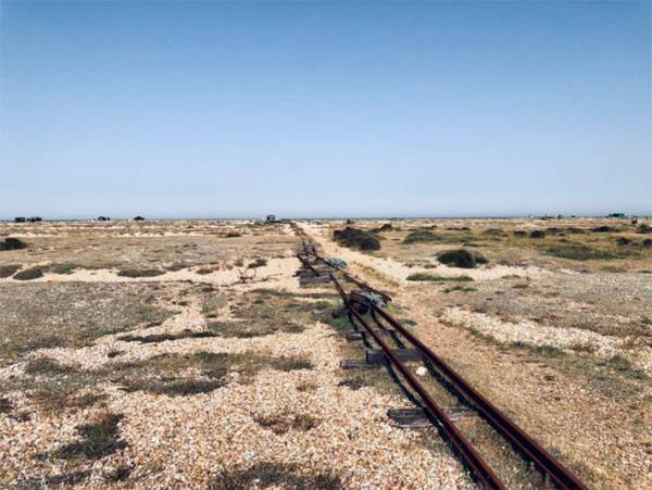 海辺で優雅な休日を過ごすはずが…　目前の光景に、あ然　「この世の果てですか」