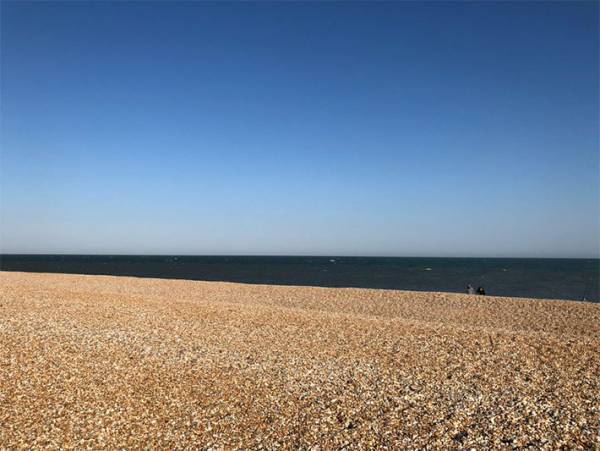 海辺で優雅な休日を過ごすはずが…　目前の光景に、あ然　「この世の果てですか」