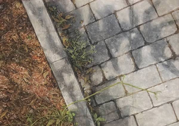 写真…と思いきや？　景色の『正体』に、１６万人が驚愕！