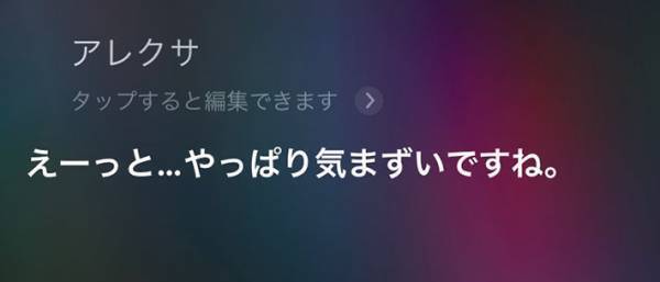 『Siri』に「OK Google」としつこく呼んだら見事な返しが…　【全８パターン】
