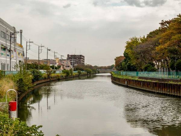 親方「すぐに行け！」　駆けだした力士２０人、川に飛び込んだ女性の元に向かうと？