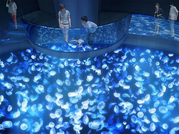 日本最大級の『クラゲ水槽』！？　すみだ水族館の新エリアが神秘的…