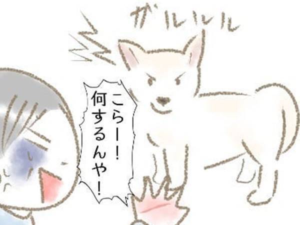 子犬をもらった家族　ある日、鳴き声に気付き庭をのぞくと？　「不思議」「犬ってすごい」