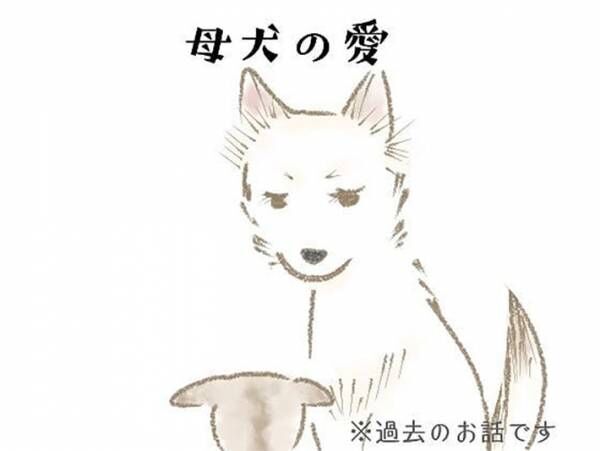 子犬をもらった家族　ある日、鳴き声に気付き庭をのぞくと？　「不思議」「犬ってすごい」