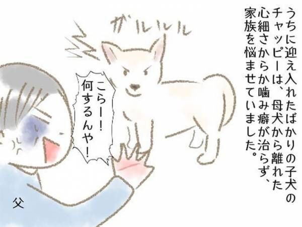 子犬をもらった家族　ある日、鳴き声に気付き庭をのぞくと？　「不思議」「犬ってすごい」