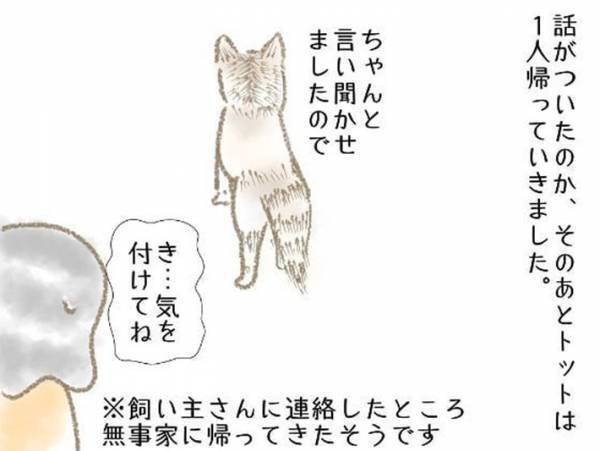子犬をもらった家族　ある日、鳴き声に気付き庭をのぞくと？　「不思議」「犬ってすごい」