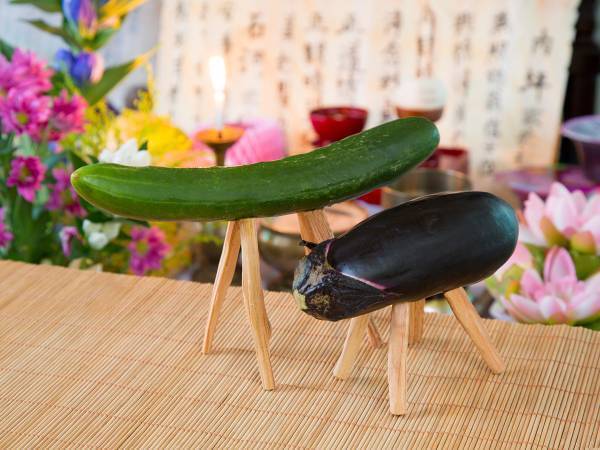 精霊馬とは何？　読み方や作り方、飾る期間、面白い作品まで紹介！