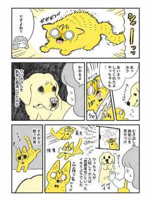 先住犬と仲良くしない猫！　ラストで見せた『仕草』に「ボロ泣き」「涙腺決壊中」