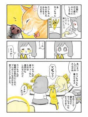 先住犬と仲良くしない猫！　ラストで見せた『仕草』に「ボロ泣き」「涙腺決壊中」