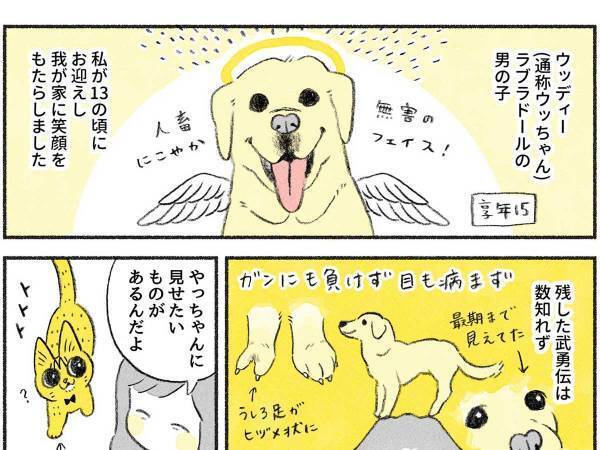 先住犬と仲良くしない猫！　ラストで見せた『仕草』に「ボロ泣き」「涙腺決壊中」