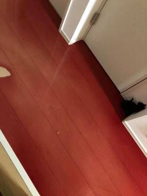 言葉を失う　コレクションしていたワインが…棚から落ちた原因は？