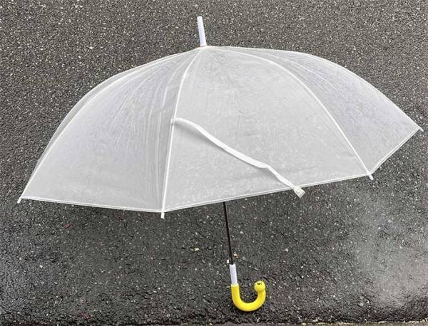 迷惑すぎる『傘泥棒』！　盗まれないための工夫に「天才か」「ピッタリすぎる」