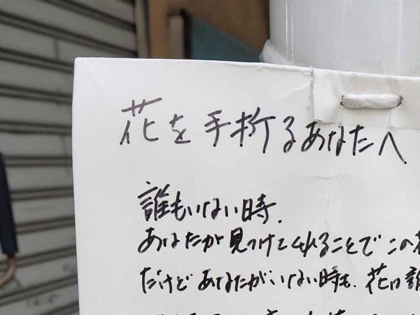 花泥棒の被害に遭った持ち主　その後、設置した貼り紙がこちら