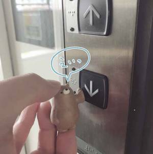 共有部のスイッチを代わりに押してくれる熊のフィギュアにほっこり