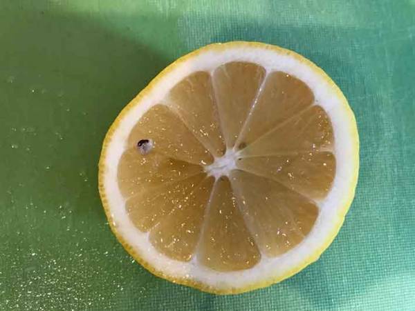 これお店で出てくるやつ！レモンを美しく切る方法