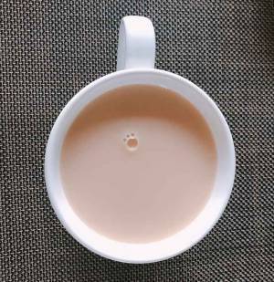 これはかわいい！ 意外な場所で発見した猫の肉球に「肉求愛」が止まらない