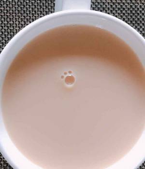 これはかわいい！ 意外な場所で発見した猫の肉球に「肉求愛」が止まらない