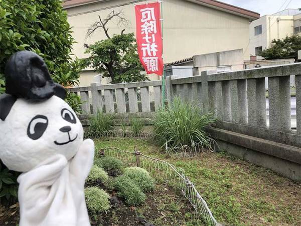 神社で撮影された『茅の輪くぐり』　異様な動画に「ネタ的に好き」「笑った」