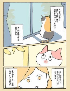 虐待を受けた過去を持つ保護猫　飼い主の想いに「分かる」「胸が締め付けられた」