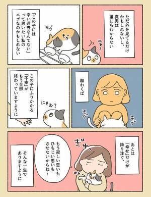 虐待を受けた過去を持つ保護猫　飼い主の想いに「分かる」「胸が締め付けられた」