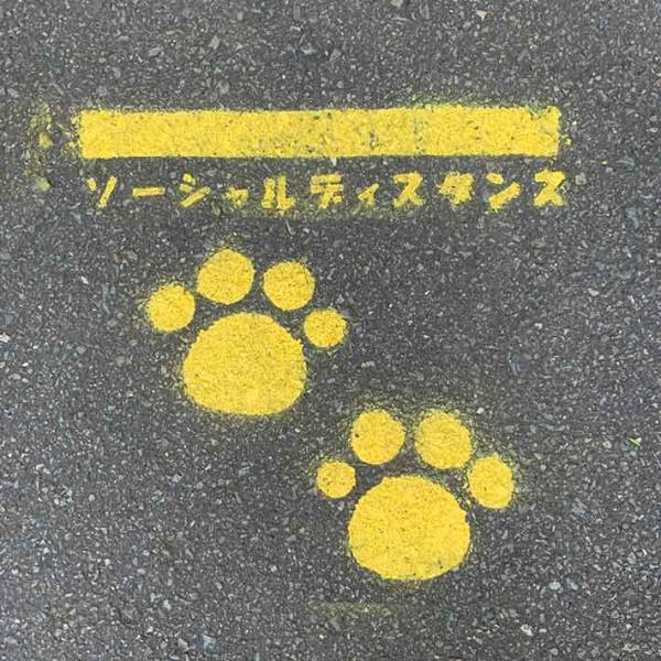 クロネコヤマトのソーシャルディスタンスマークがさすが