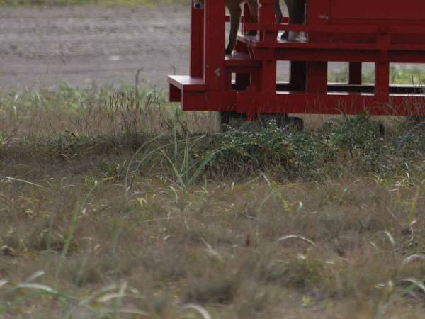 ついに目撃された神の使い？　奇跡の瞬間に感動の嵐！