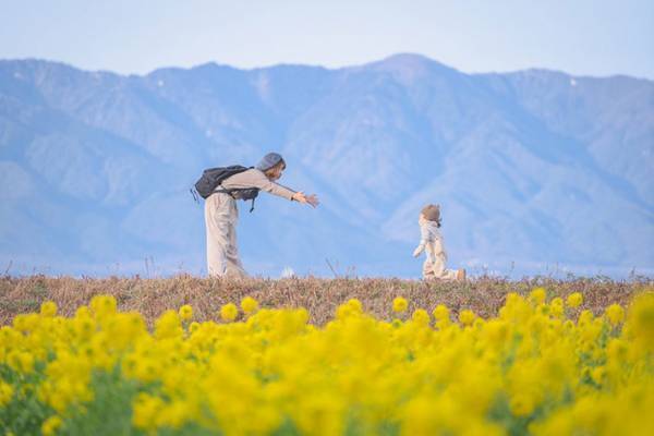 息子には悪いけどあまりにお見事すぎて…　素敵な家族写真だと思ったら？