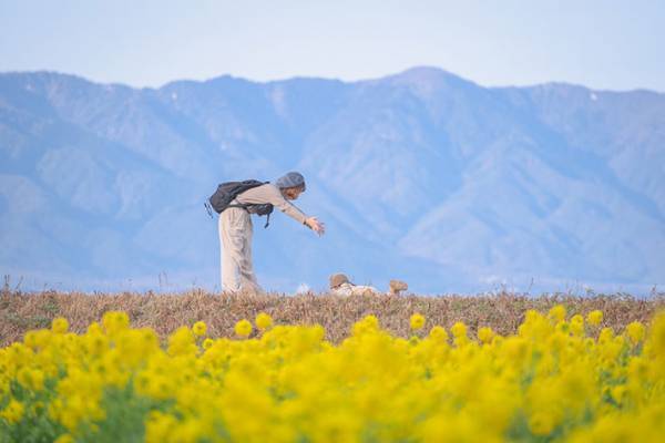 息子には悪いけどあまりにお見事すぎて…　素敵な家族写真だと思ったら？