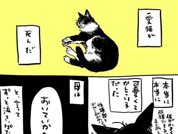 家で度々起こっていた『不思議な出来事』　愛猫が亡くなった後の夜…？